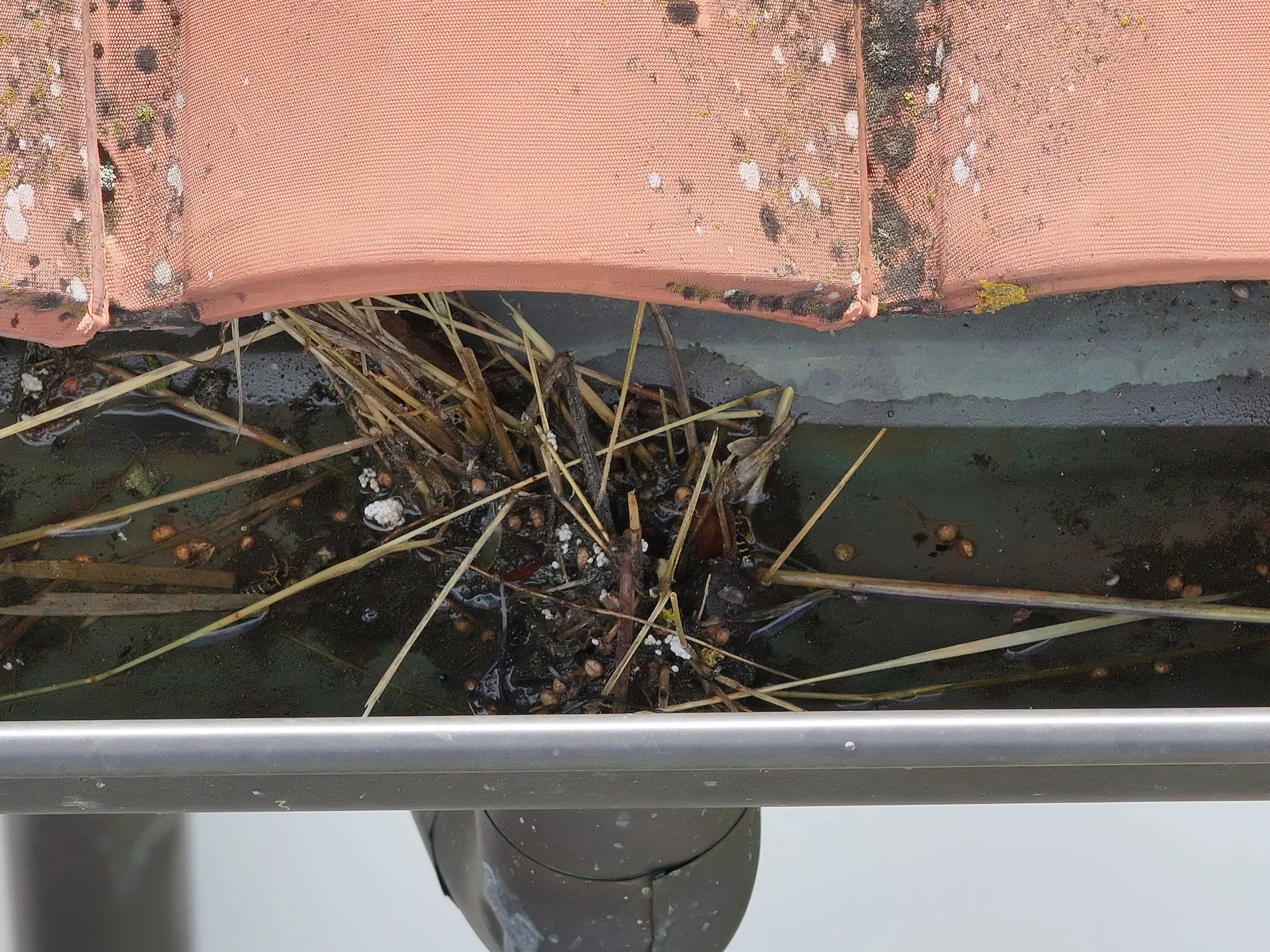 Dettaglio scarico laterale ostruito